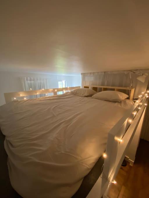 Appartement De Charme Pres Du Stade De France سان دوني المظهر الخارجي الصورة